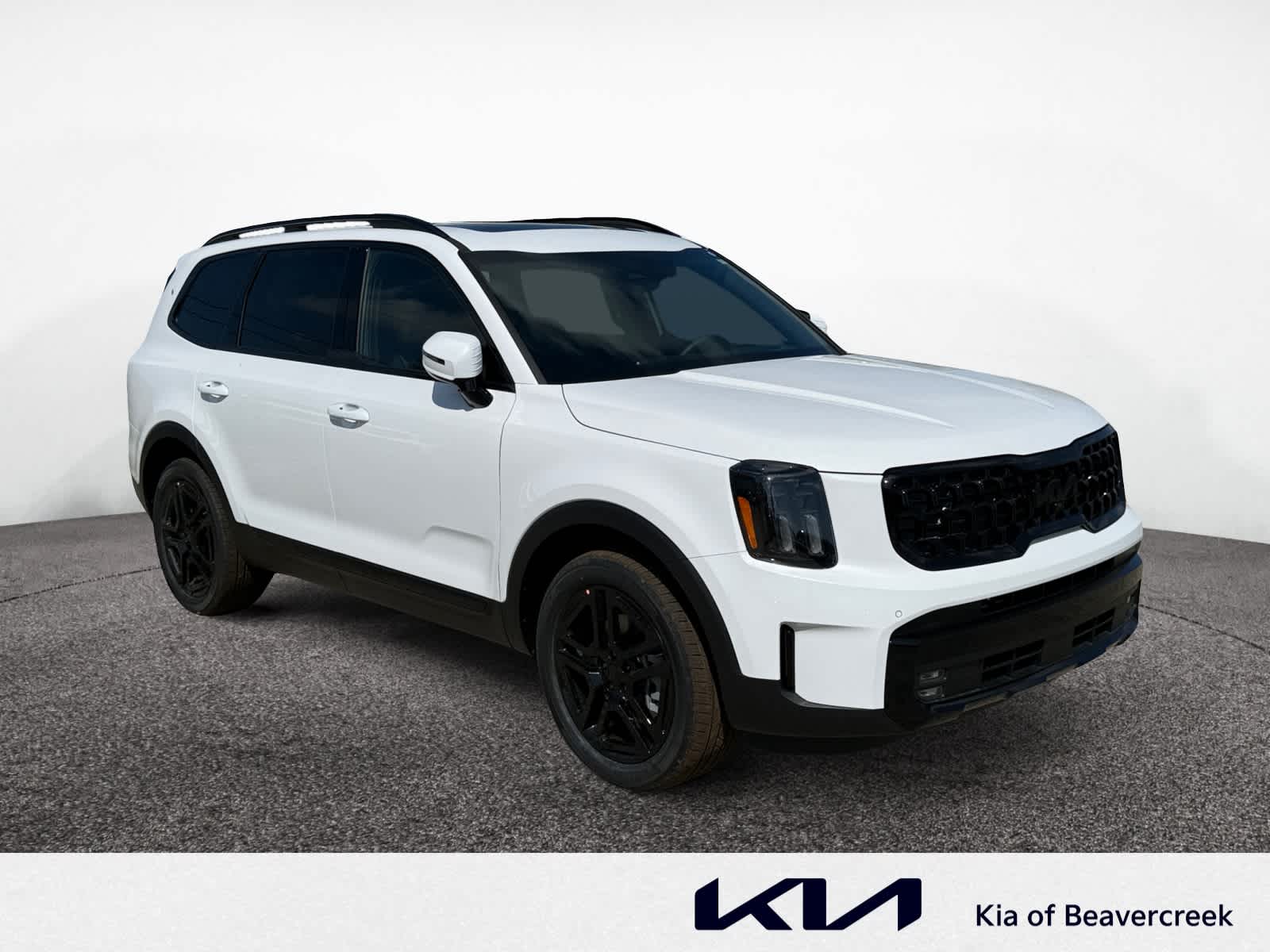 2025 Kia Telluride SX Prestige X-Line photo 6