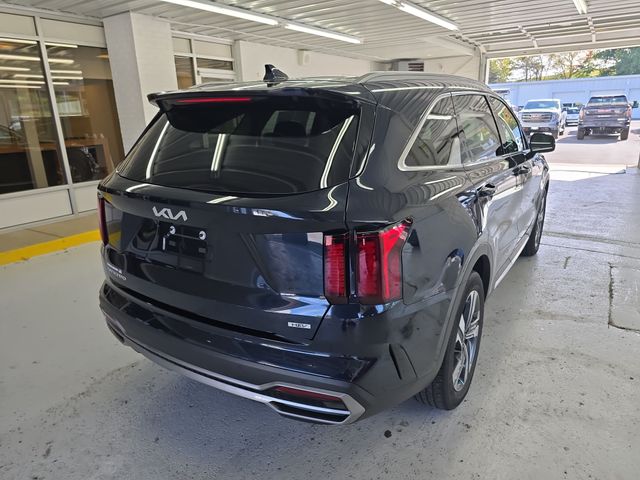 2023 Kia Sorento Hybrid EX photo 4