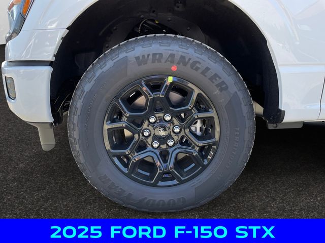 2025 Ford F-150 STX photo 14