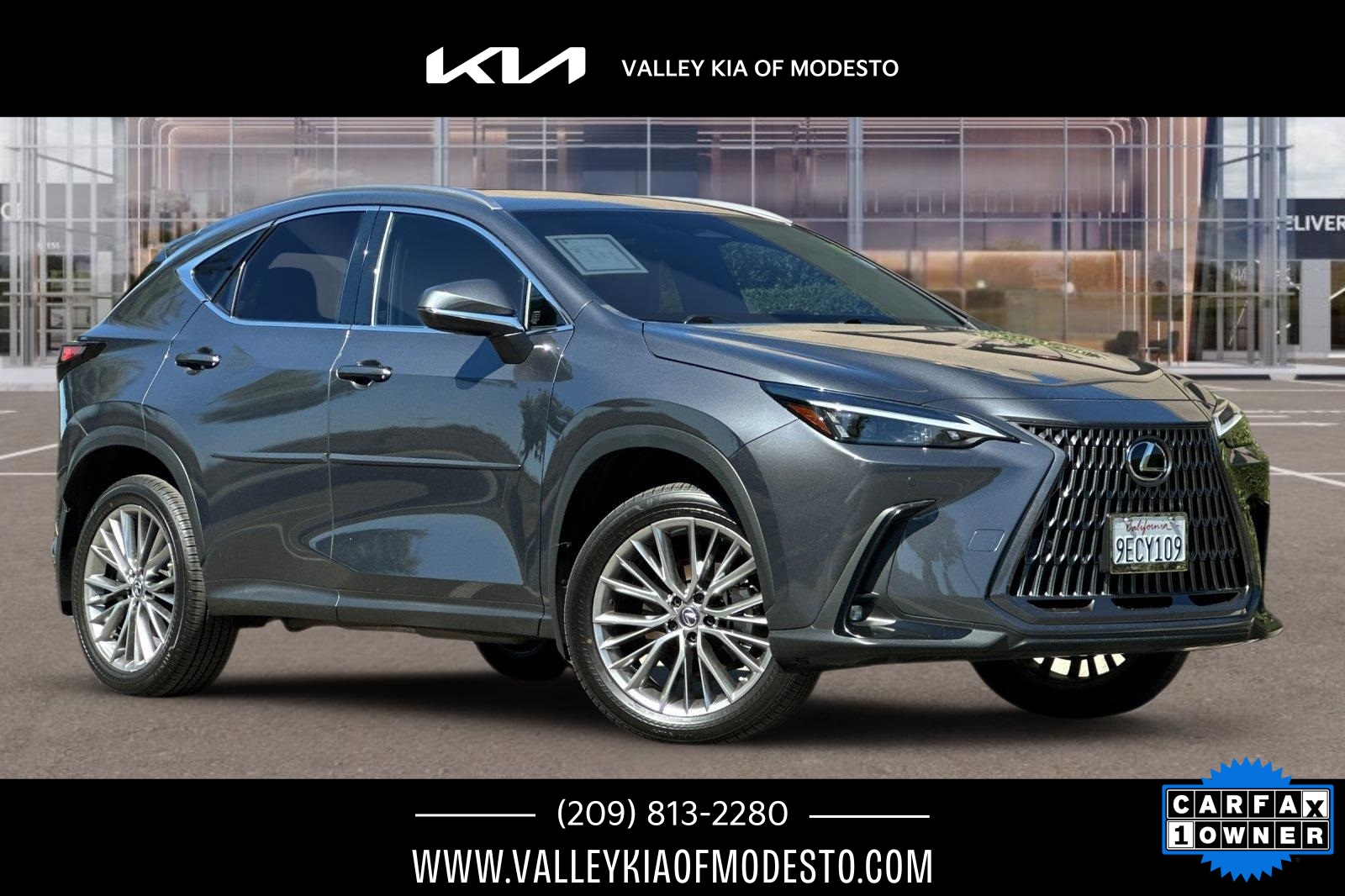 2022 Lexus NX Hybrid 350h's photo
