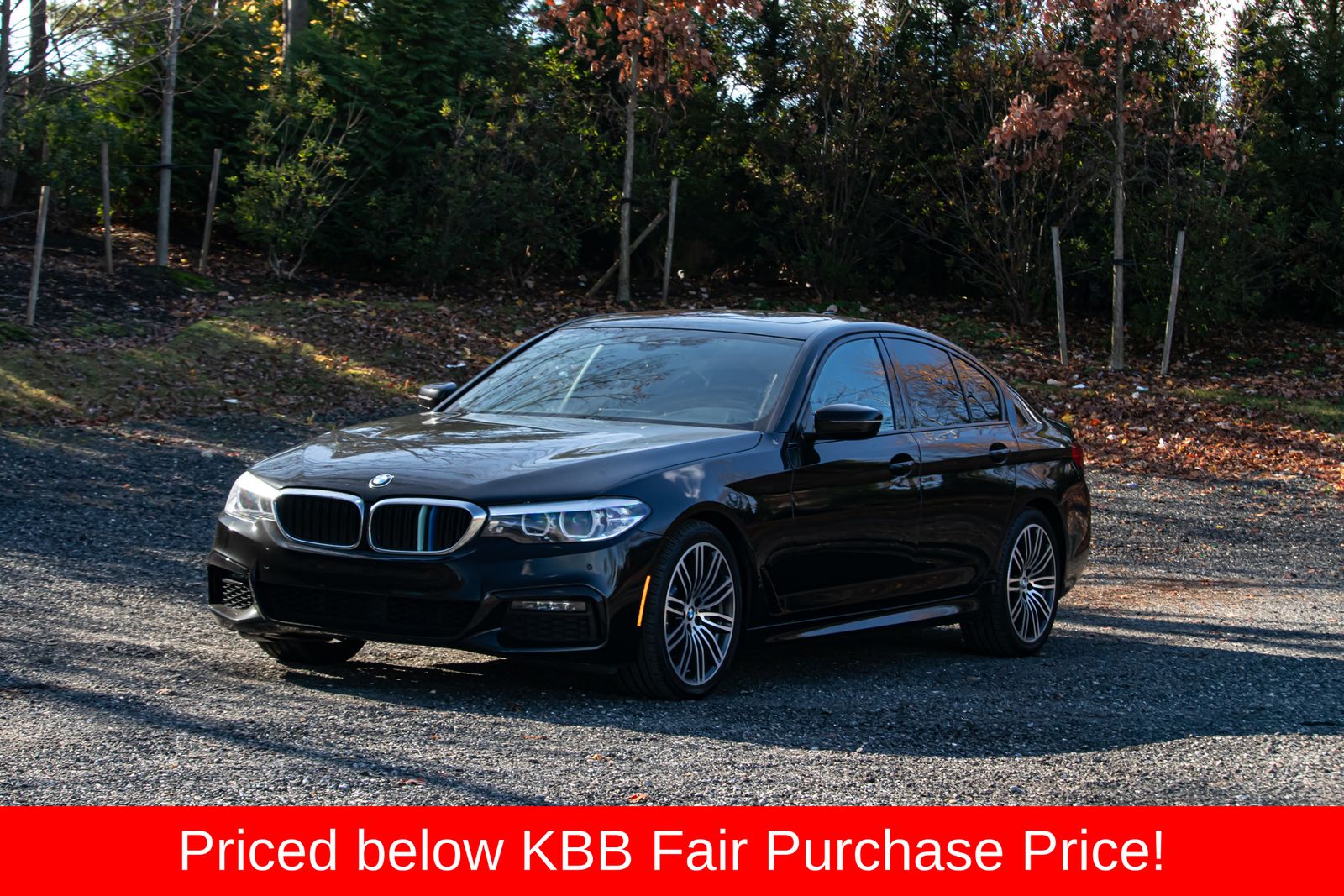 2019 BMW 5 Series 530i