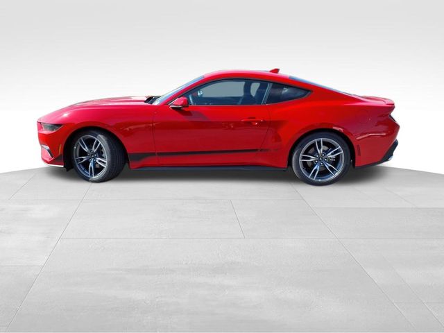 2025 Ford Mustang EcoBoost Premium photo 3
