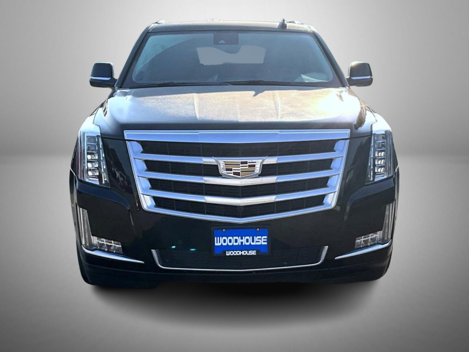 2019 Cadillac Escalade Luxury photo 2