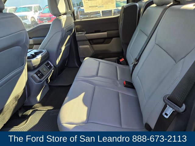 2025 Ford F-150 Lightning photo 11