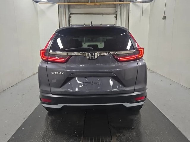 2022 Honda CR-V EX-L photo 4