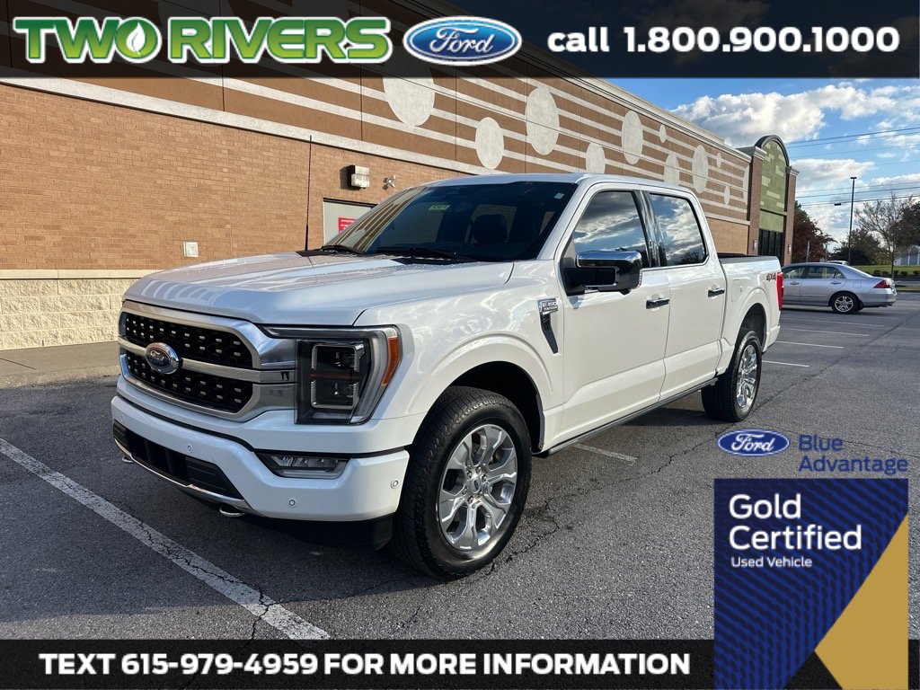 2023 Ford F-150 Platinum's photo