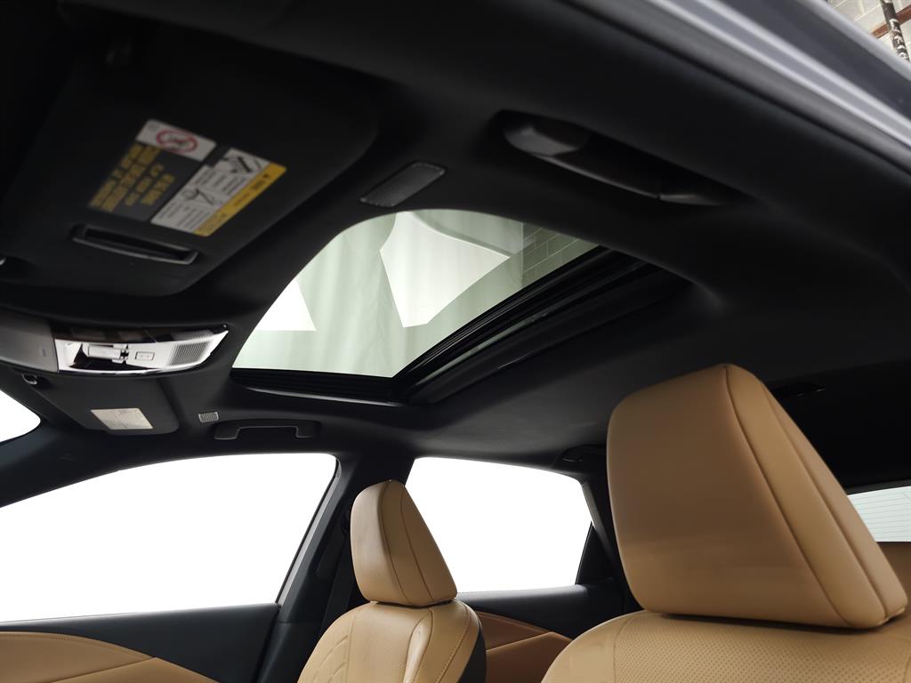 2023 Lexus RX 350 Premium photo 17