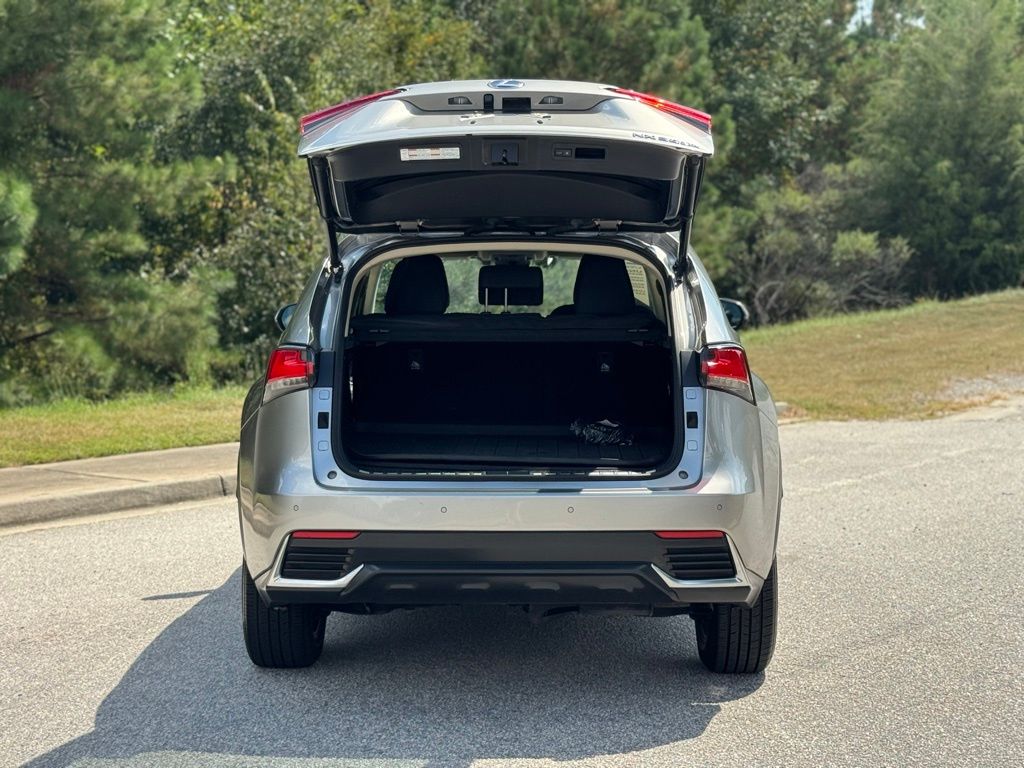 2019 Lexus NX 300h Luxury photo 14