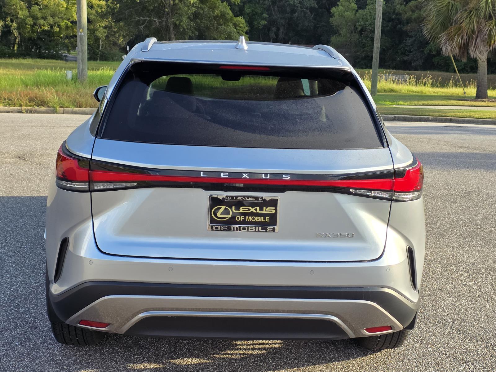 2023 Lexus RX 350 Luxury photo 3