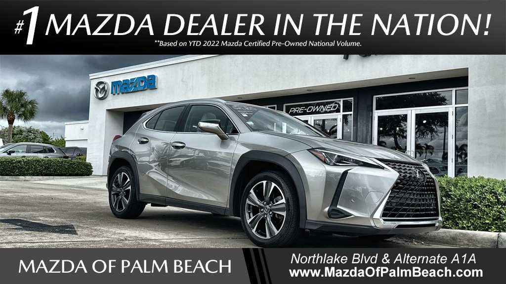 2020 Lexus UX 200's photo