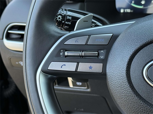 2025 Hyundai Palisade Calligraphy photo 19