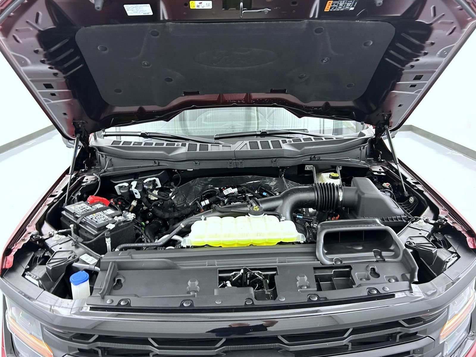 2025 Ford F-150 XLT photo 22