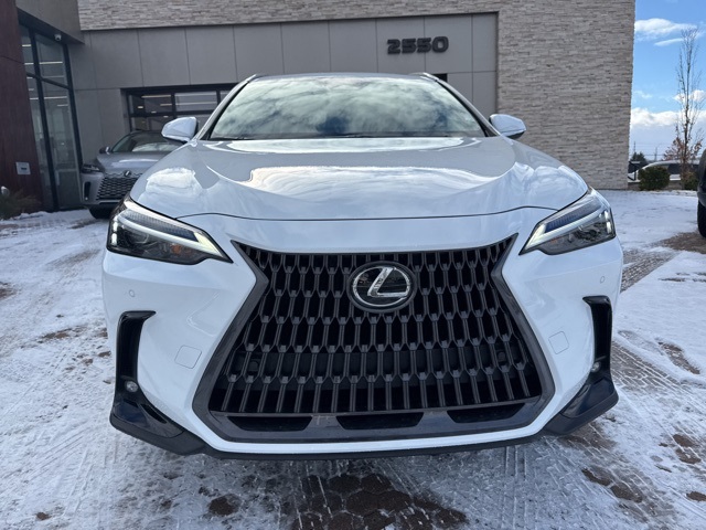2026 Lexus NX 350 photo 3