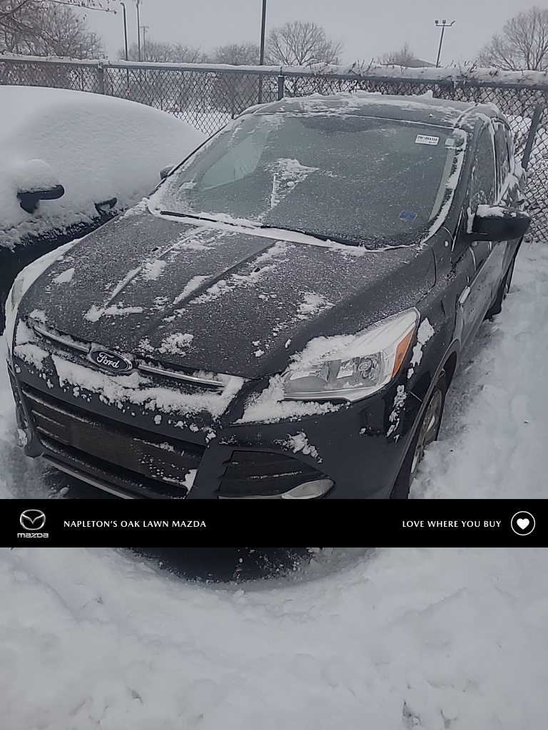 2014 Ford Escape SE's photo