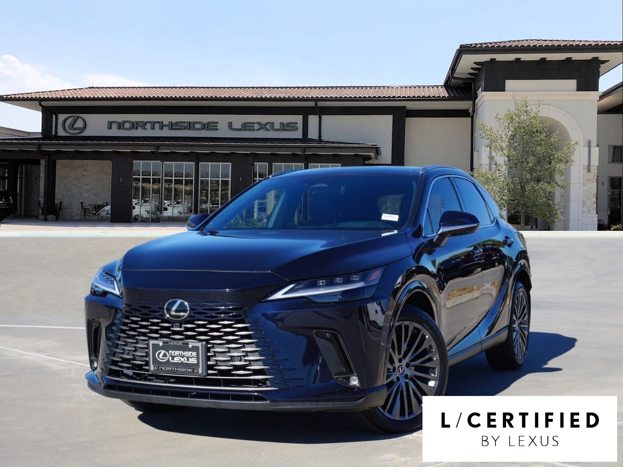 2023 Lexus RX 350's photo