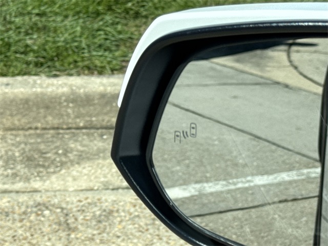 2025 Toyota RAV4 XLE photo 14