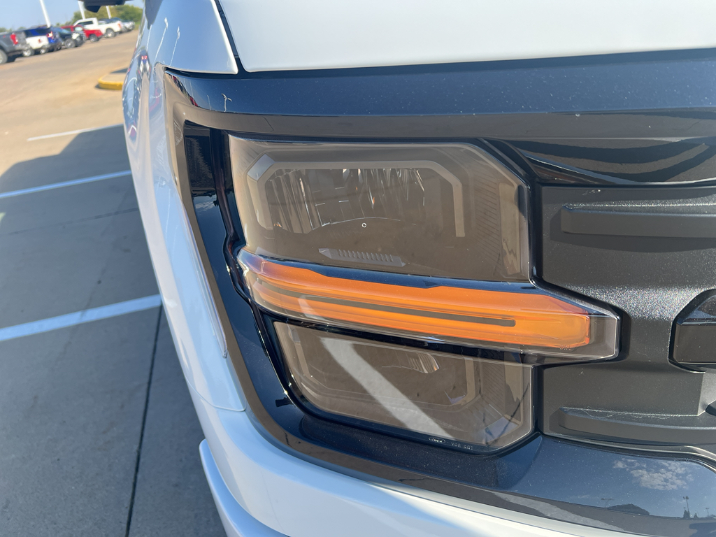 2025 Ford F-150 XLT photo 10