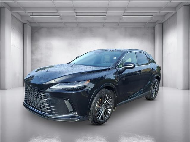 2023 Lexus RX 350 Luxury photo 6