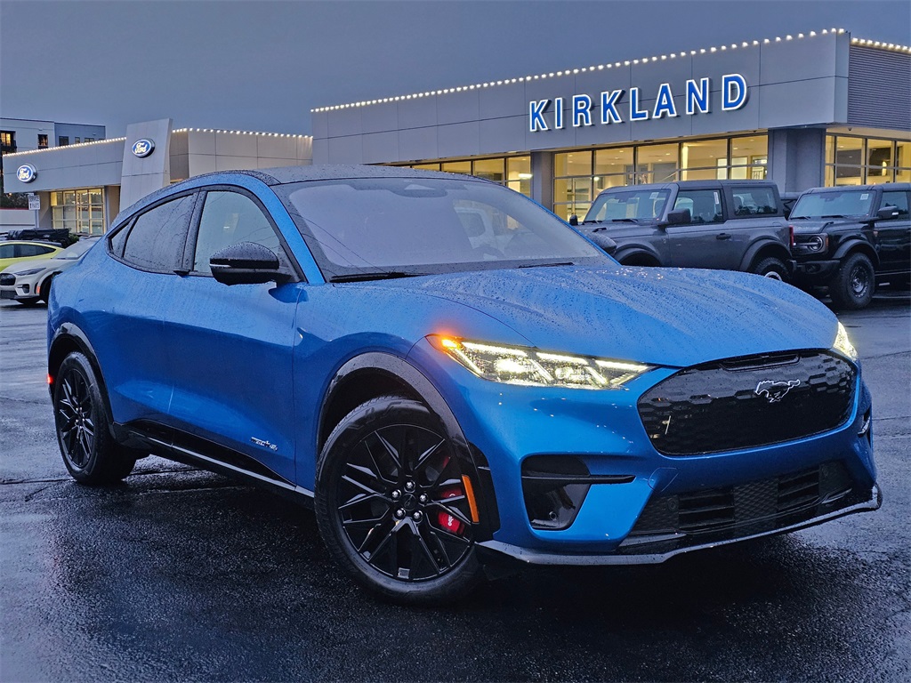 2025 Ford Mustang Mach-E Premium AWD's photo