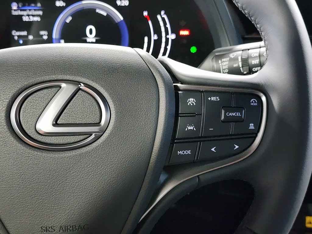 2025 Lexus UX photo 15