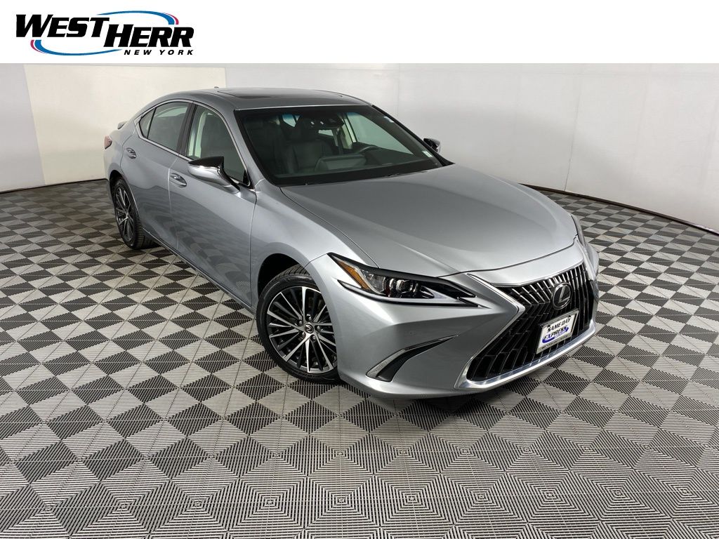 2023 Lexus ES 250's photo