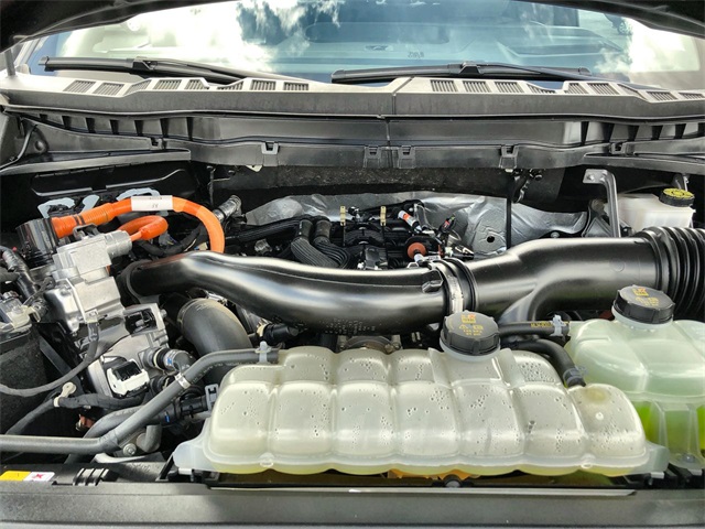 2024 Ford F-150 Platinum photo 17
