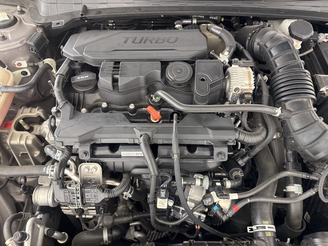 2023 Hyundai Elantra N Line photo 16