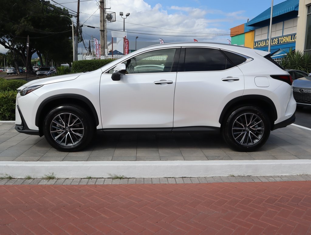 2025 Lexus NX 250 photo 7