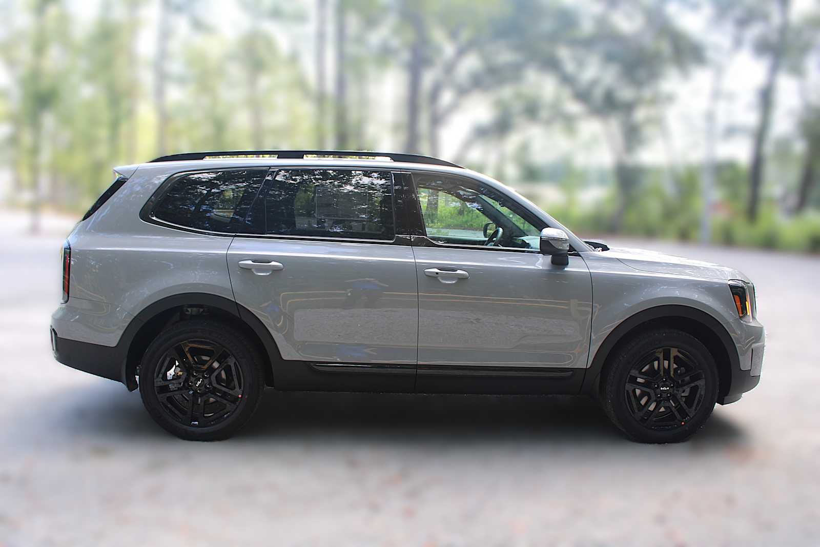 2025 Kia Telluride EX X-Line photo 14