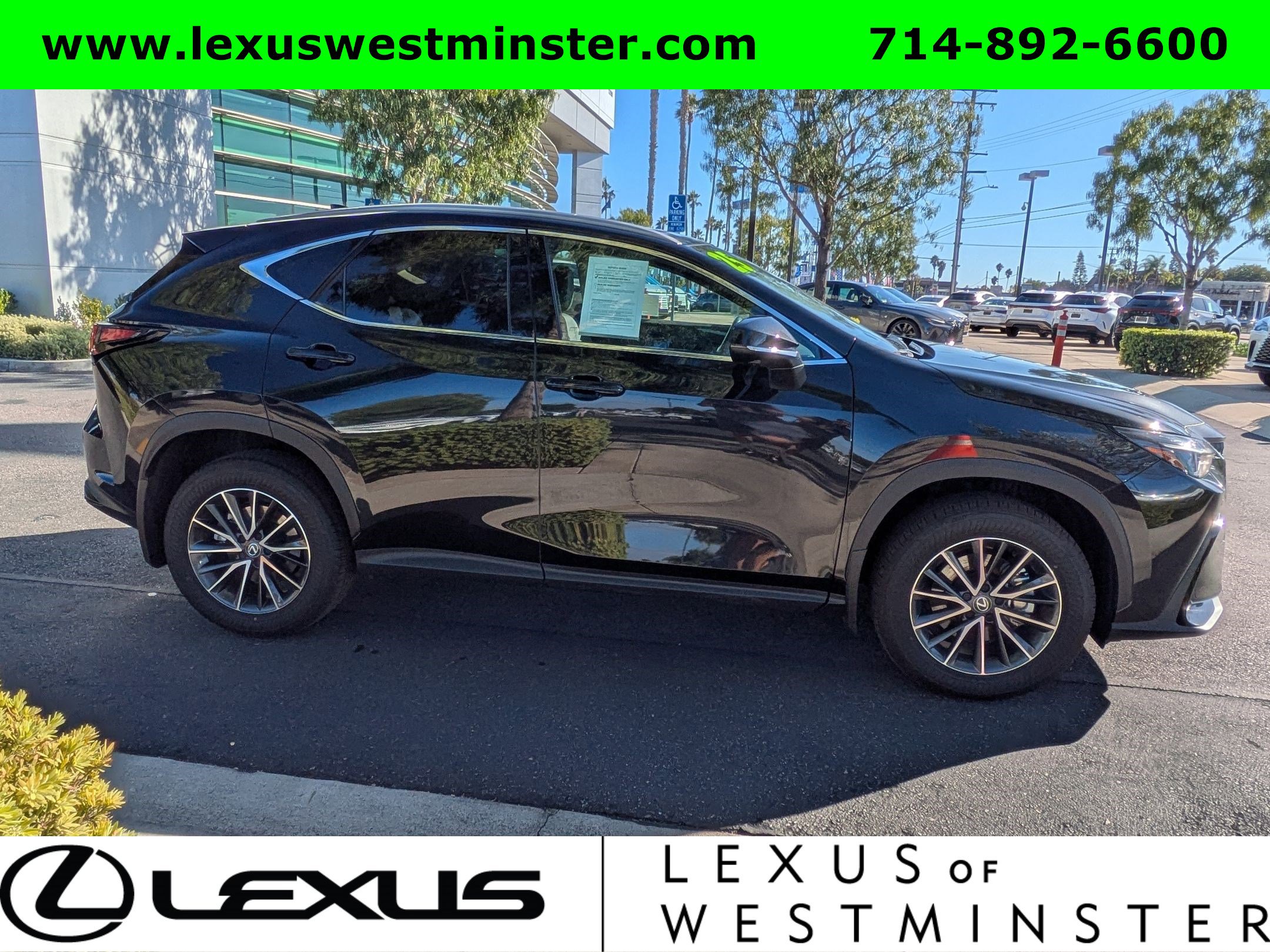 2025 Lexus NX 350h Premium photo 4