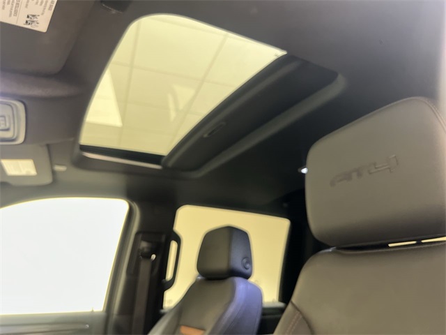 2024 Gmc Sierra HD AT4 photo 16