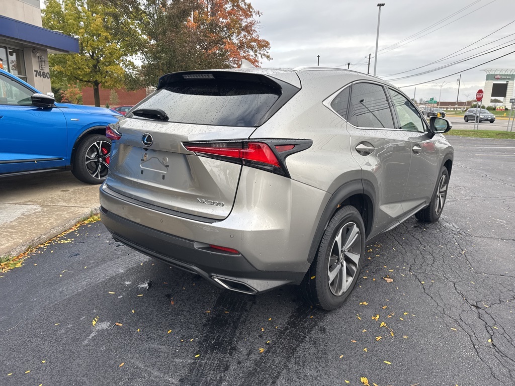 2019 Lexus NX 300 Luxury photo 4