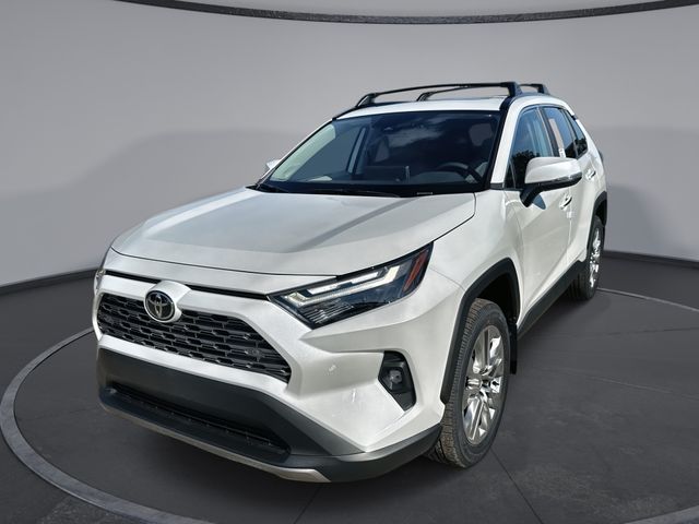2025 Toyota RAV4 Limited's photo