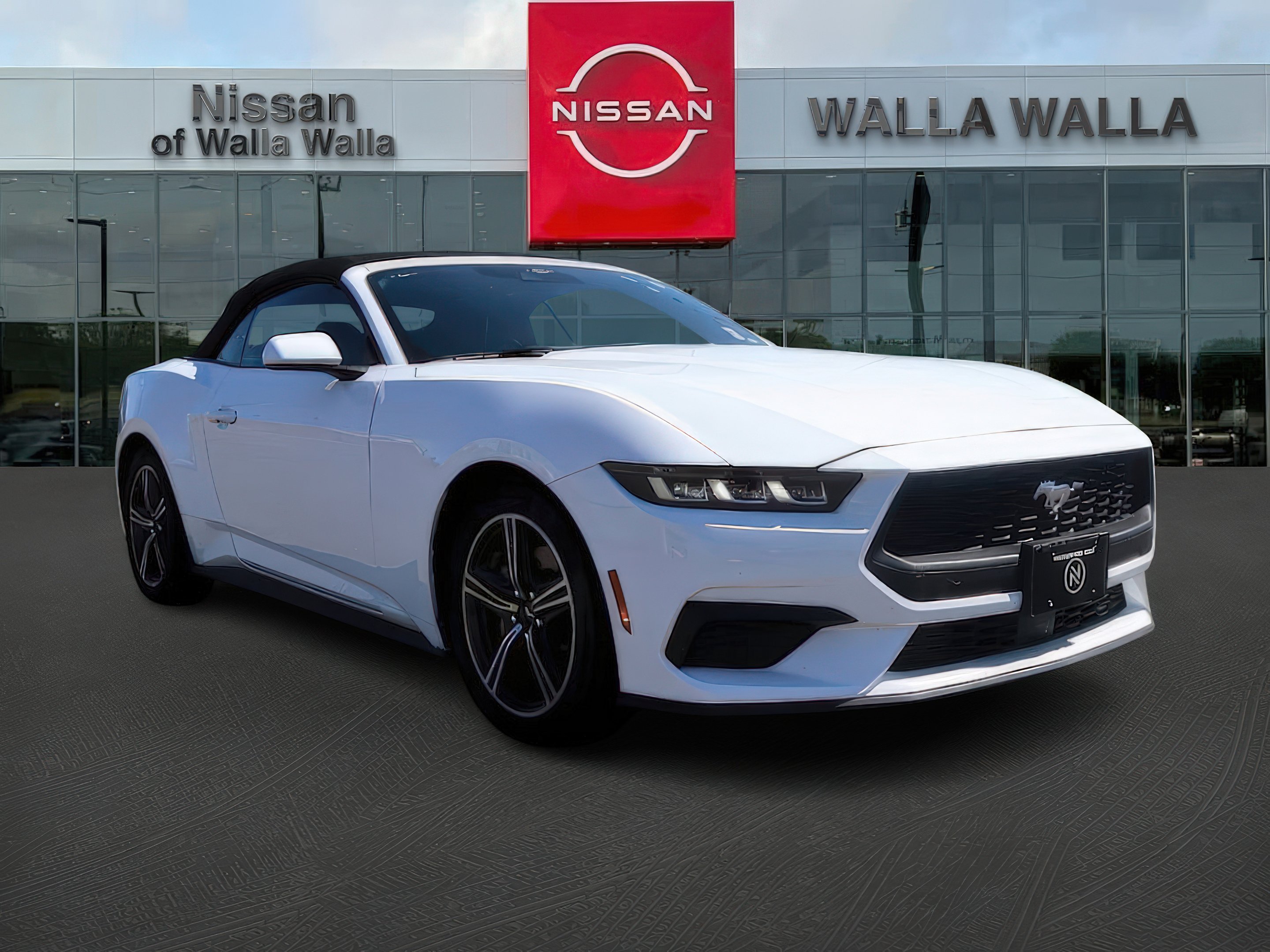 2024 Ford Mustang EcoBoost Premium's photo