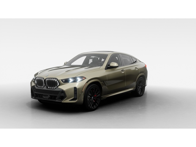 2026 BMW X6