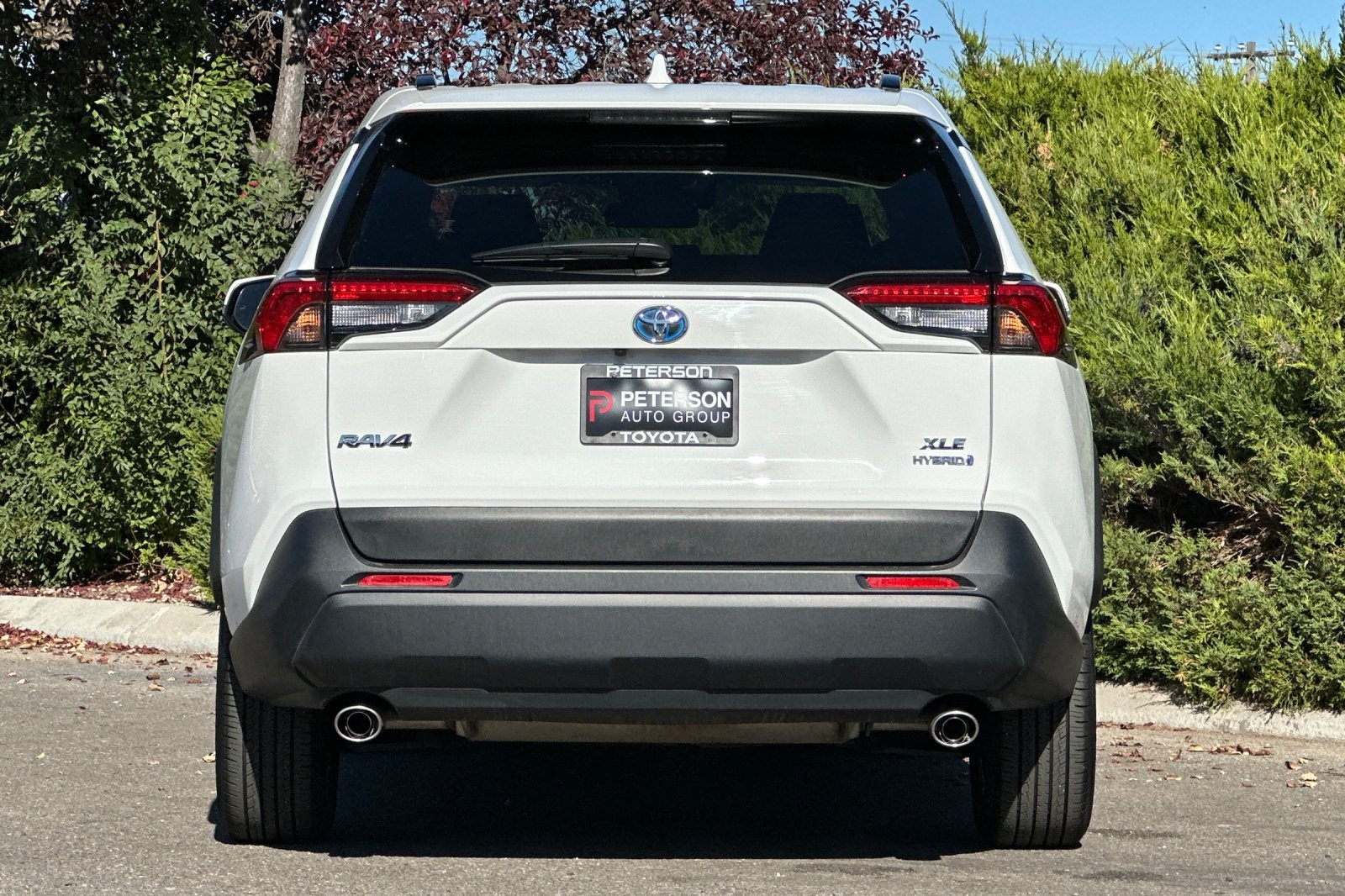 2023 Toyota RAV4 Hybrid XLE photo 5