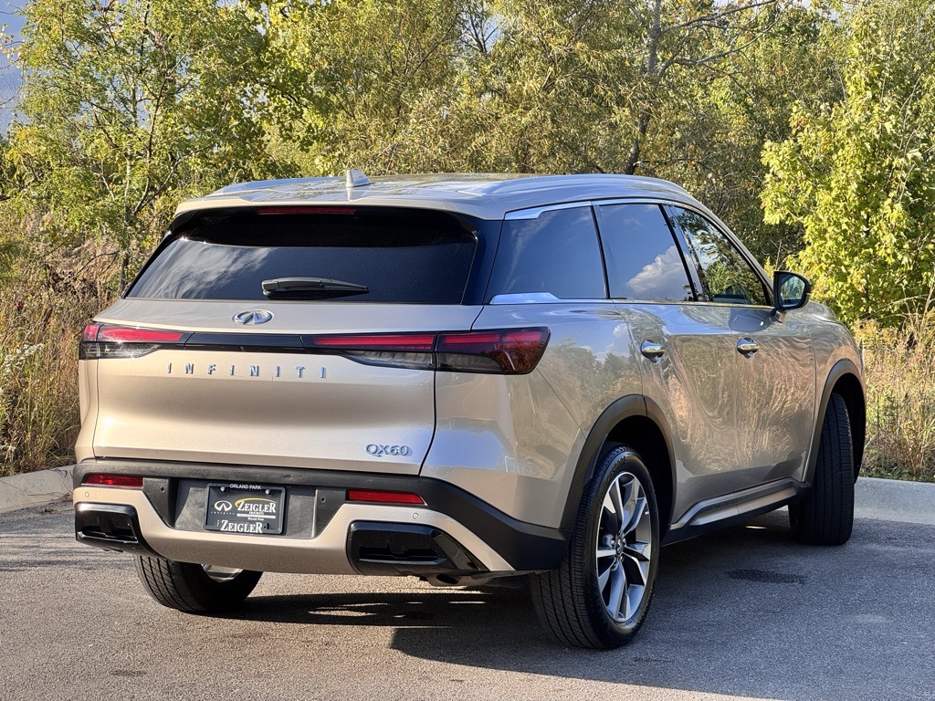 2024 Infiniti QX60 Luxe photo 4