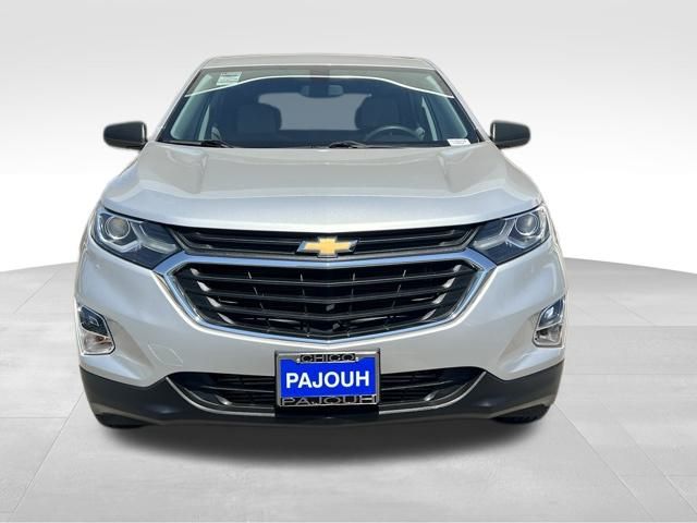 2019 Chevrolet Equinox LS photo 2