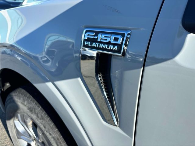 2023 Ford F-150 Platinum photo 6