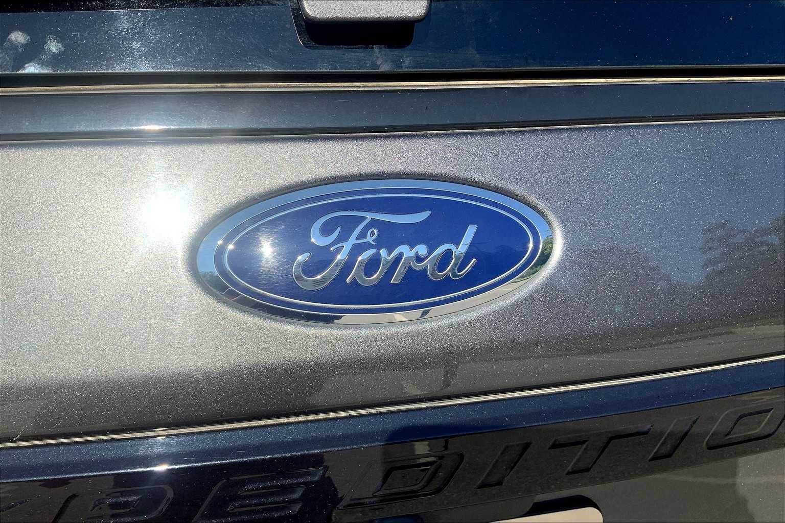 2021 Ford Expedition Limited photo 9