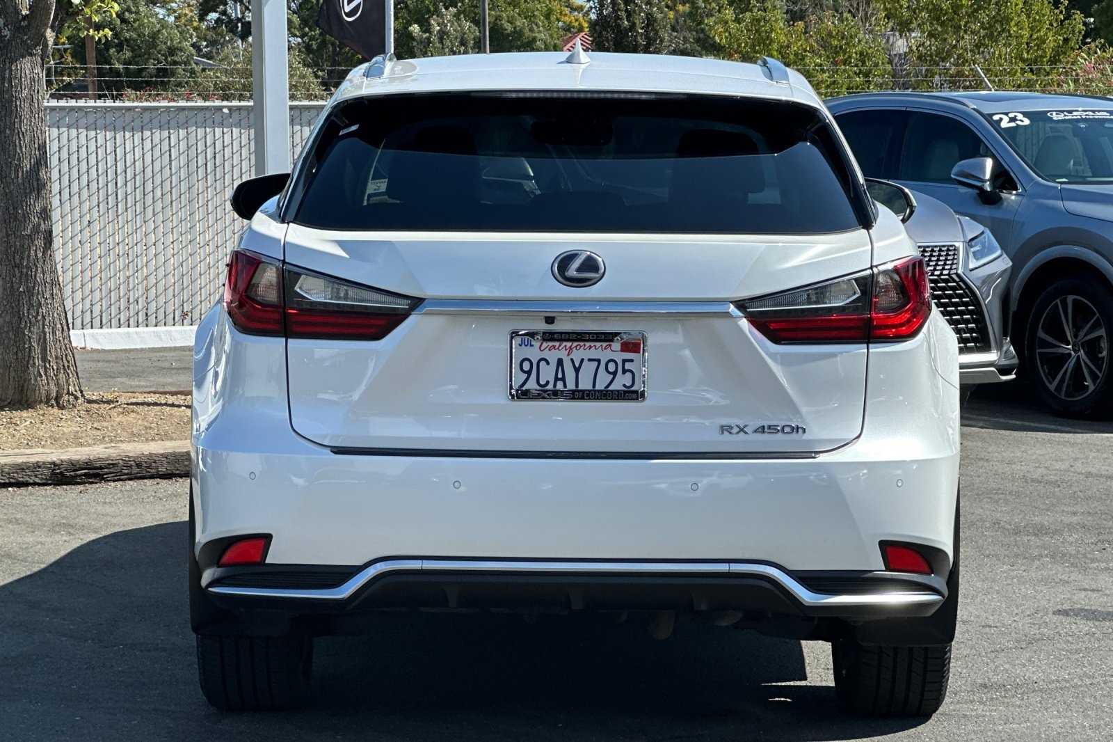 2022 Lexus RX 450h AWD photo 5
