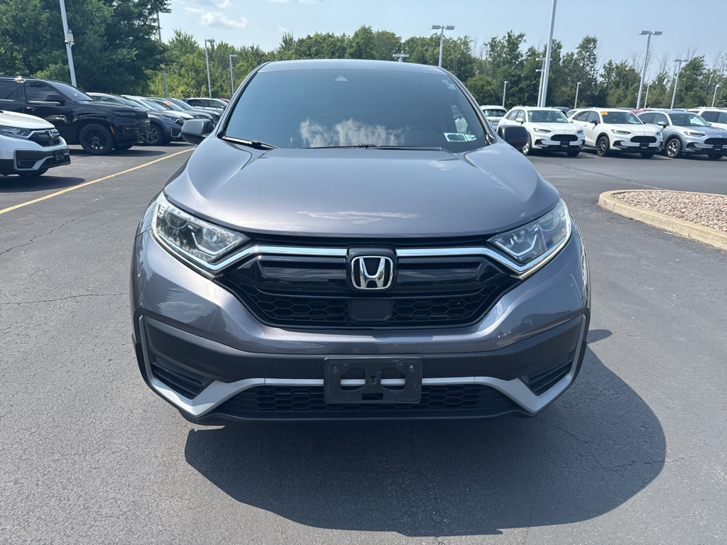 2020 Honda CR-V LX photo 6