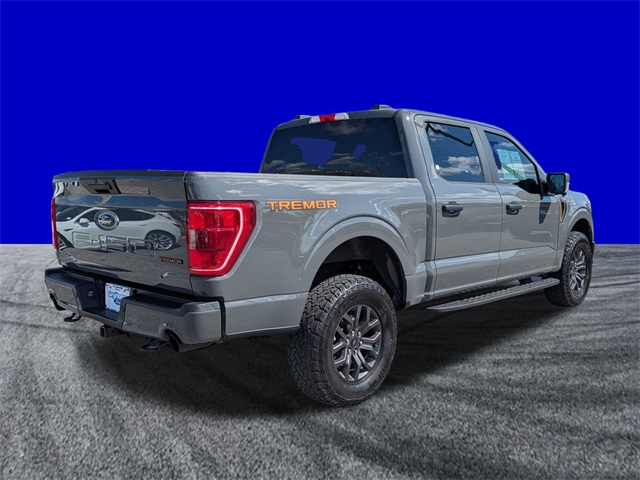 2021 Ford F-150 Tremor photo 4