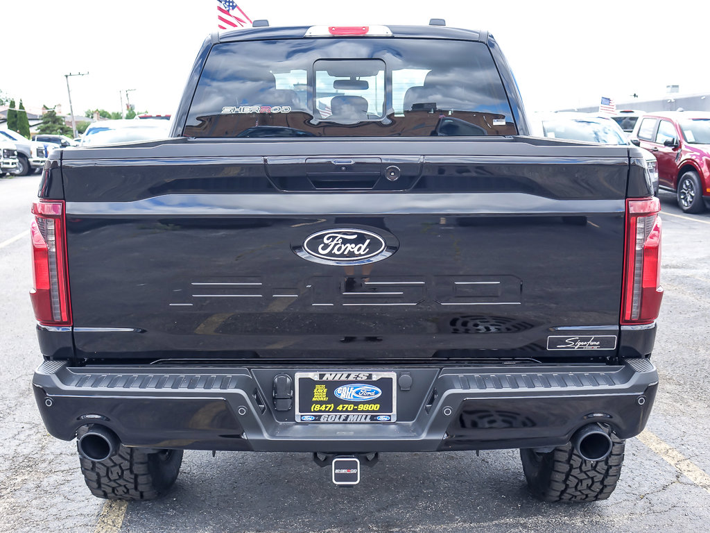 2025 FORD F-150 - Image 5