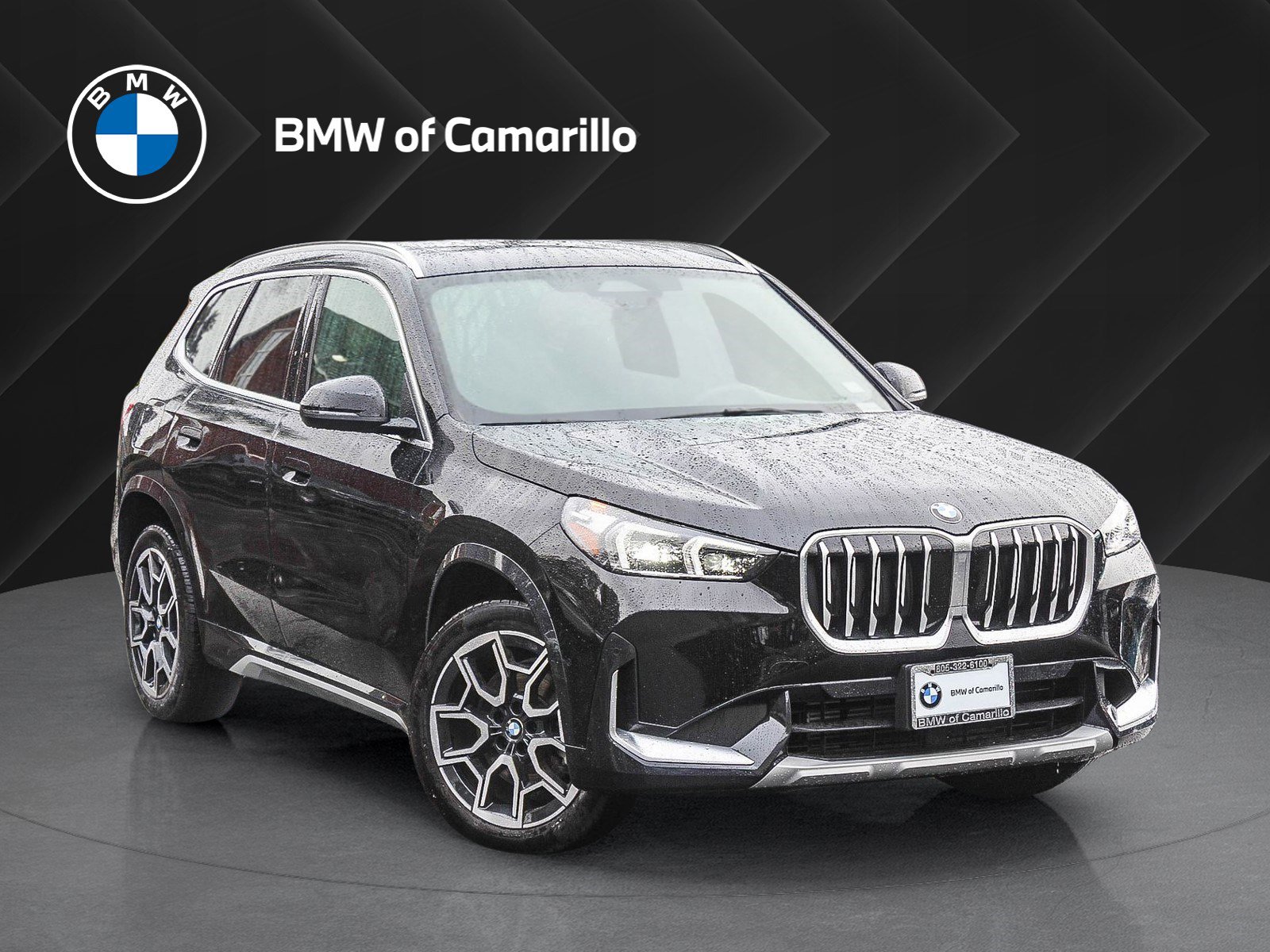 2025 BMW X1 28i's photo