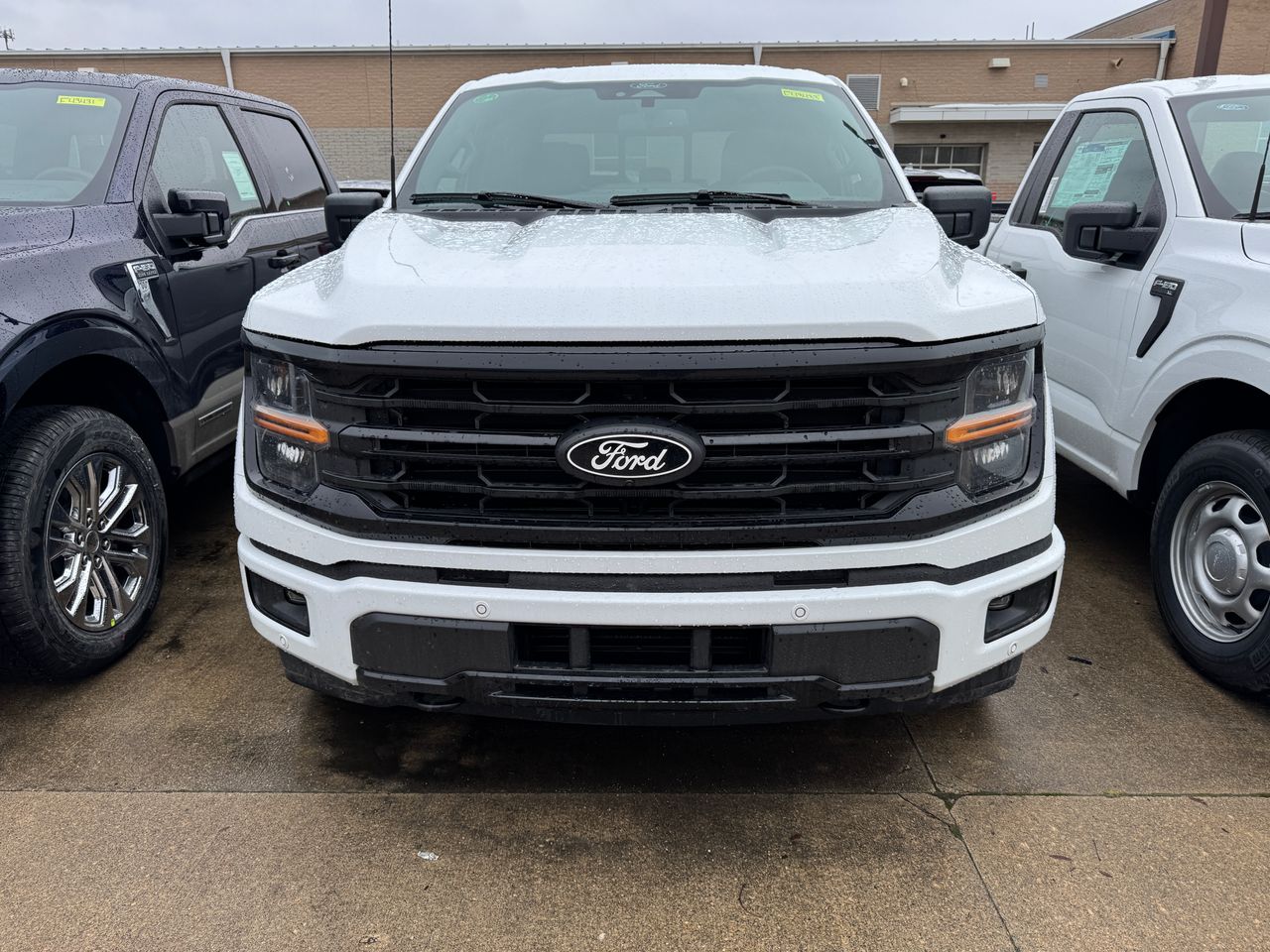 2025 Ford F-150 XLT photo 2