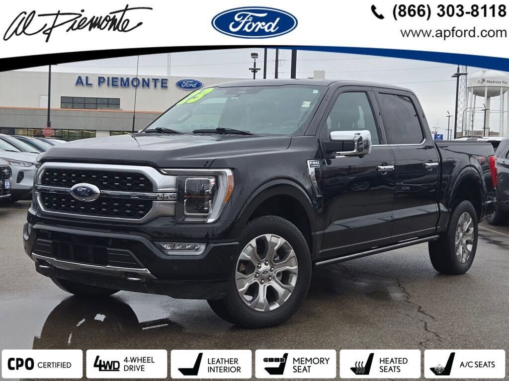 2023 Ford F-150 Platinum's photo