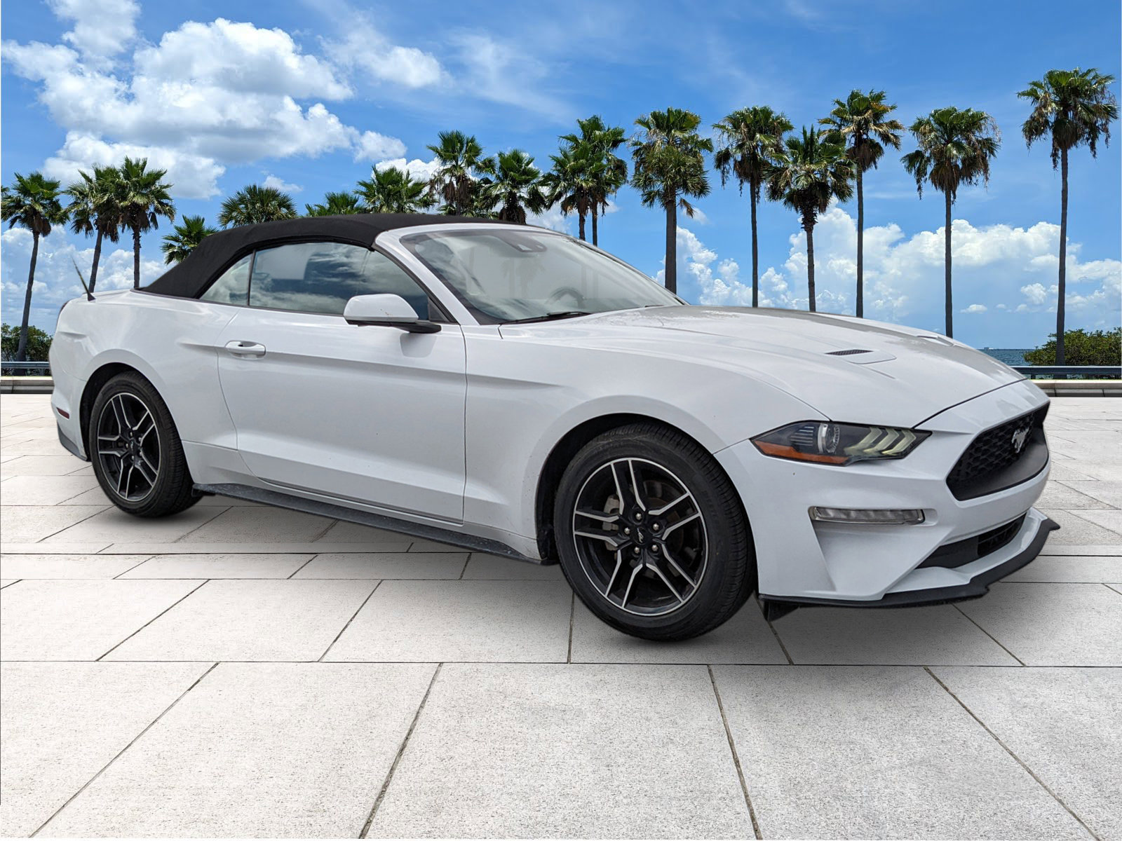 2023 Ford Mustang EcoBoost Premium photo 2