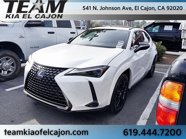 2021 Lexus UX Hybrid 250h's photo