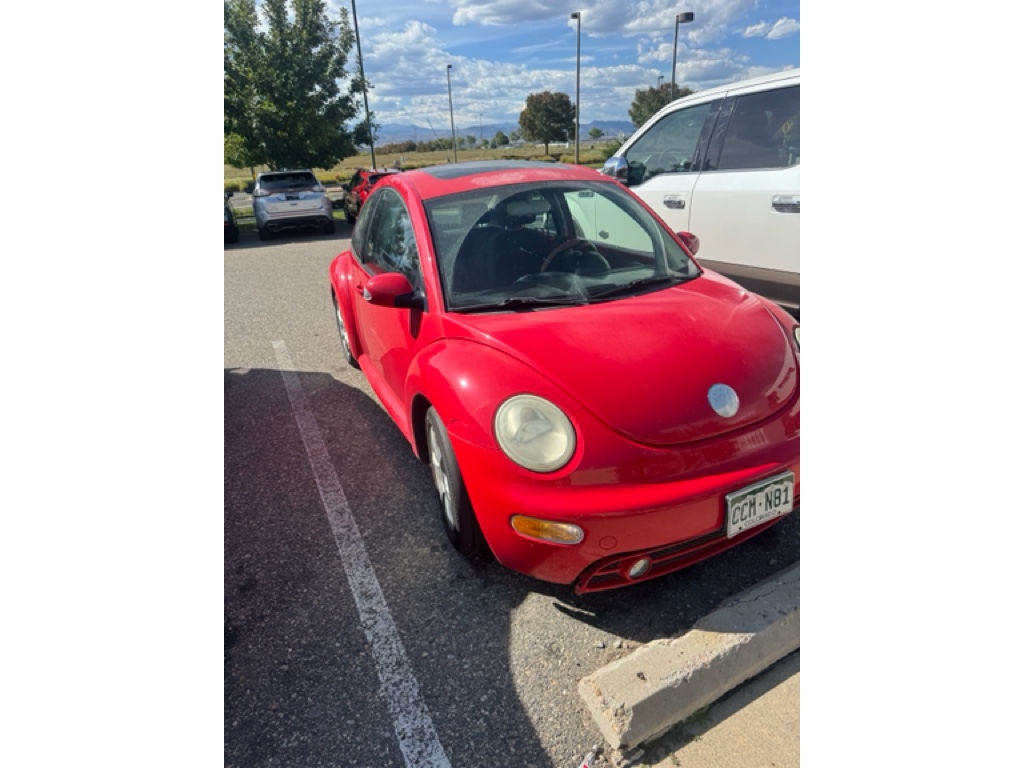 2004 Volkswagen Beetle GLS photo 2